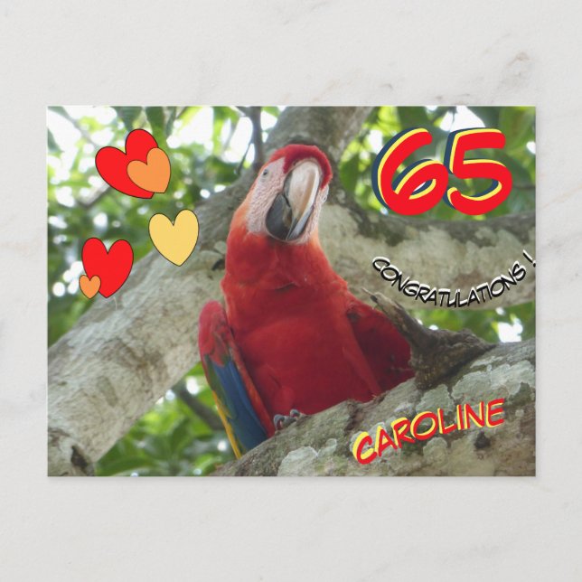 Carte postale pour les 65 ans d'un perroquet rouge (Devant)