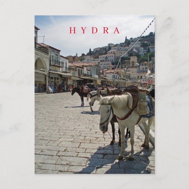 Carte postale pour les chevaux de l'île d'Hydra (Devant)