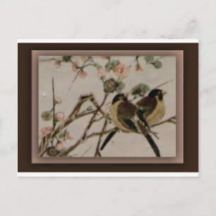 Carte Postale Pour les oiseaux