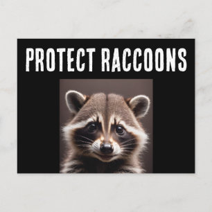 CARTE POSTALE POUR PROTÉGER LES RATONS LAVEURS