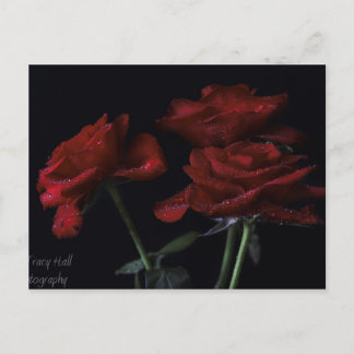 Carte Postale Pour toujours