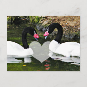 Carte Postale Pour toujours vos_