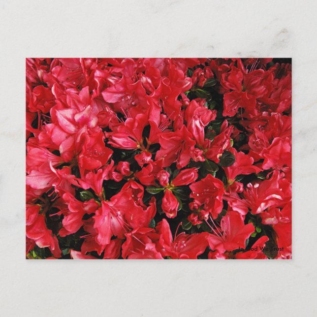 Carte postale pour voyage 5 (Devant)