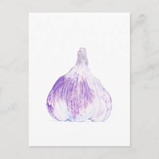 Carte postale pourpre à l'ail