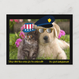 Carte Postale Pourquoi le soleil est-il allé à l'école ?