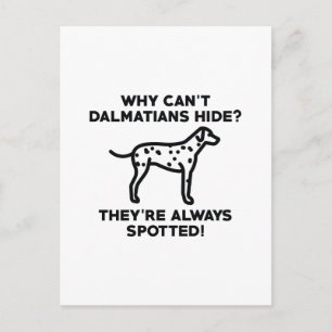 Carte Postale Pourquoi les Dalmatiens ne peuvent-ils pas se cach