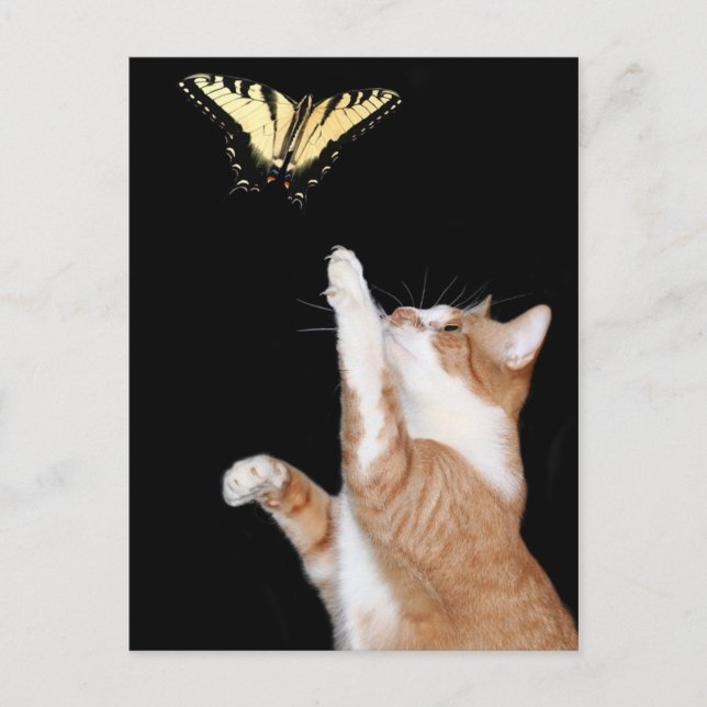 Carte Postale poursuivre votre rêve (Devant)