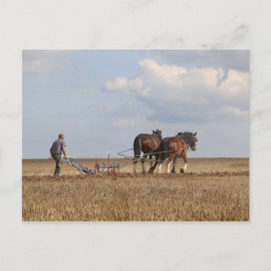 Carte Postale Poussée de cheval : Foire à vapeur de Dorset
