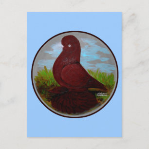 Carte Postale Poussette rouge pigeon motte