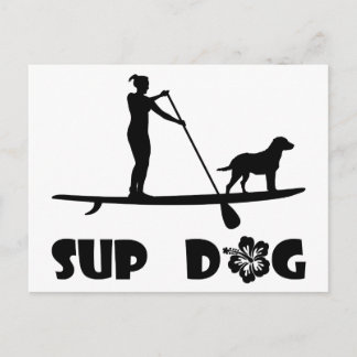 CARTE POSTALE POUSSIÈRE SUP