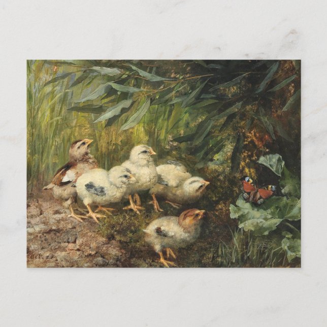 Carte Postale Poussins et papillon | Franz Xaver Birkinger (Devant)