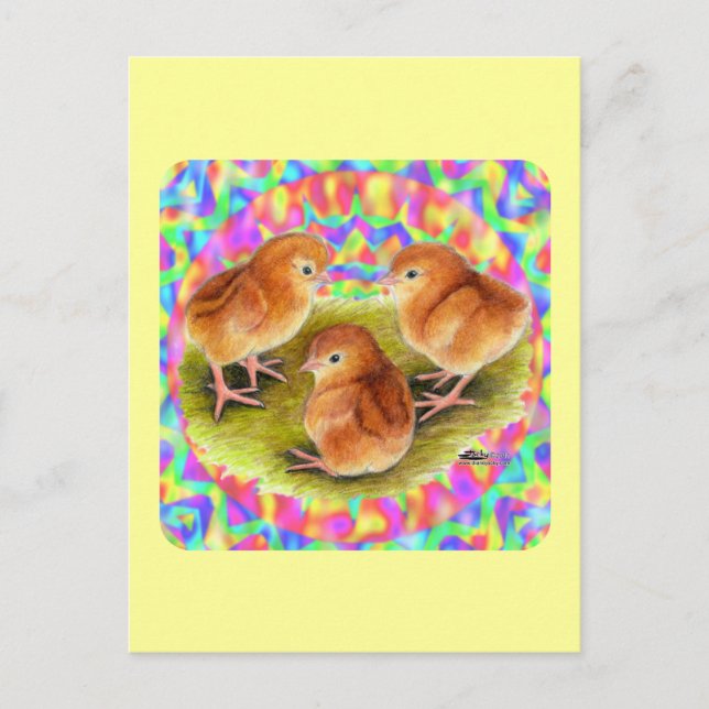 Carte Postale Poussins rouges (Devant)