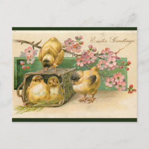Carte Postale Poussins vintages dans un panier et des fleurs ros