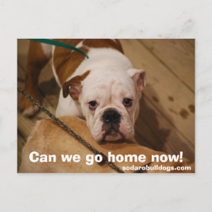 Carte Postale Pouvons-nous rentrer chez nous maintenant !