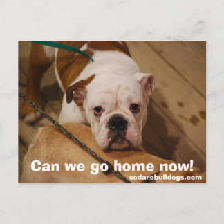 Carte Postale Pouvons-nous rentrer chez nous maintenant !