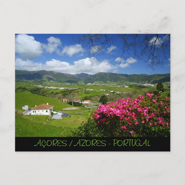 Carte Postale Povoação - Açores (Devant)