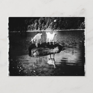 Carte postale Power chèvre