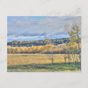 Carte Postale Prairie aux peupliers trembles