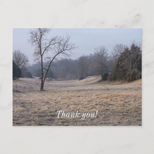 Carte Postale Prairie Brumeuse (Devant)