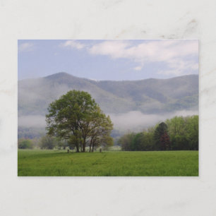 Carte Postale Prairie brumeuse et Rich Mountain, Cades Cove,