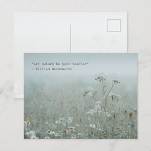 Carte Postale Prairie de fleurs sauvages - esthétique de la natu