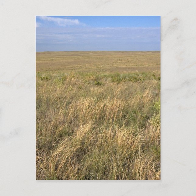 Carte Postale Prairie de prairie à l'est de Sidney, Nebraska. (Devant)