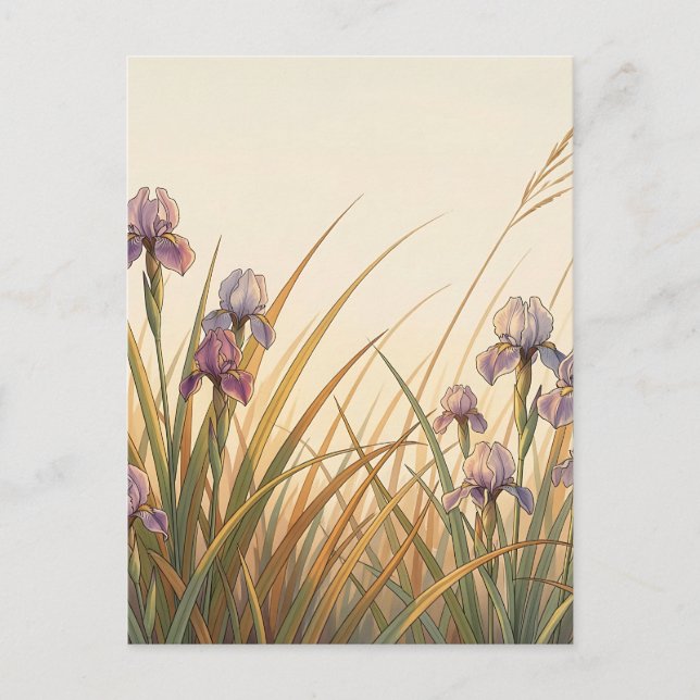 Carte Postale Prairie d'Iris Violet Herbe Dorée Paysage  (Devant)