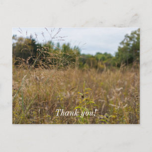 Carte Postale Prairie envahie