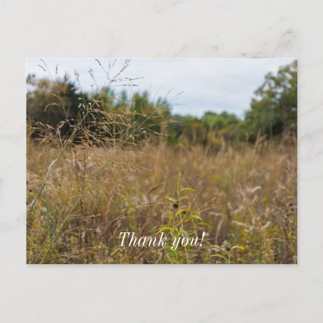 Carte Postale Prairie envahie (Devant)