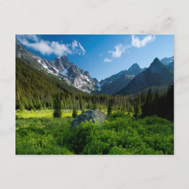 Carte Postale Prairie et mont Stuart (Devant)