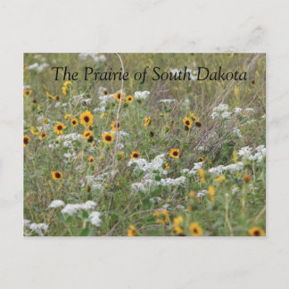 Carte postale Prairie of South Dakota