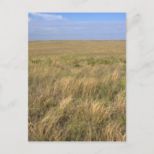 Carte Postale Prairies à l'est de Sidney, Nebraska.
