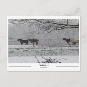 Carte Postale Prattville Alabama