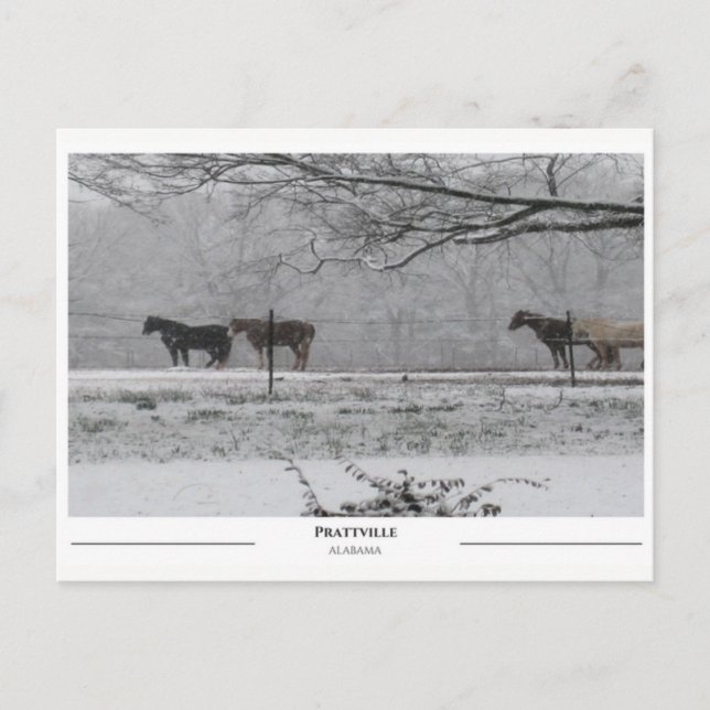 Carte Postale Prattville Alabama (Devant)