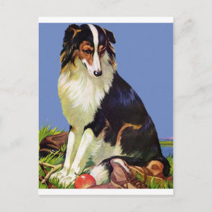 Carte Postale Precieux animal de compagnie