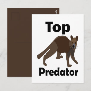 Carte Postale Prédateur suprême carnivore Fossa Madagascar
