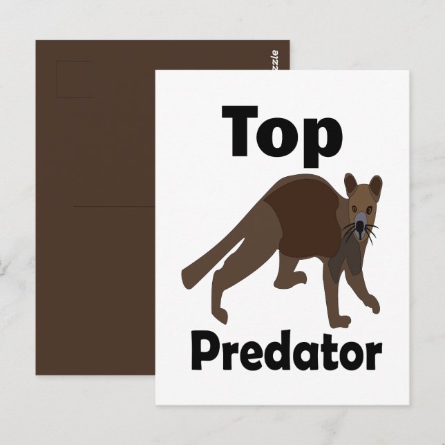 Carte Postale Prédateur suprême carnivore Fossa Madagascar (Devant / Derrière)