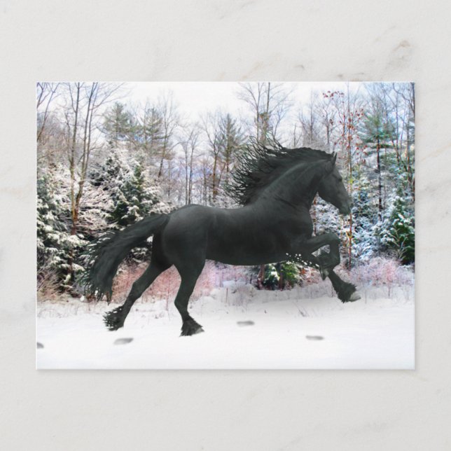 Carte Postale "Première course de neige" (Devant)