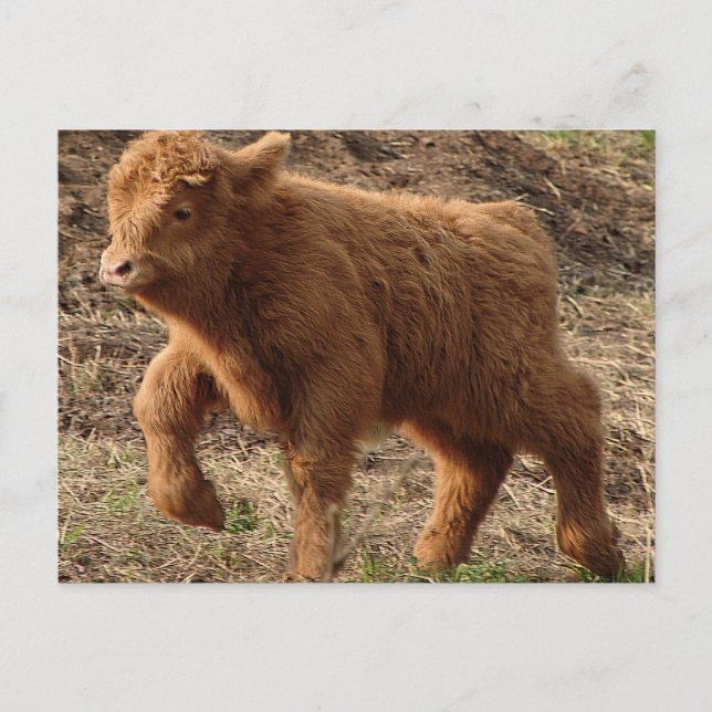 Carte Postale première étape (Devant)