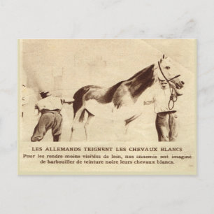 Carte Postale Première Guerre mondiale, Chevaux blancs peints en