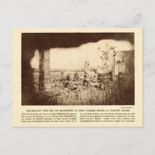 Carte Postale Première Guerre mondiale, France, Les arbres marqu