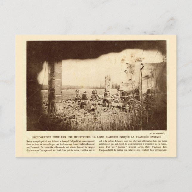 Carte Postale Première Guerre mondiale, France, Les arbres marqu (Devant)