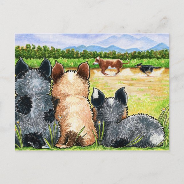 Carte Postale Première leçon d'Andie (Devant)