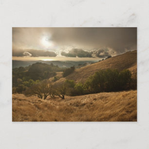 Carte Postale Première pluie de la saison