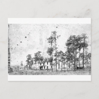 Carte Postale Premières années, Mount Dora, FL