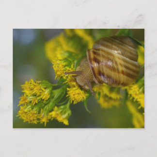 Carte Postale Prends-le facilement