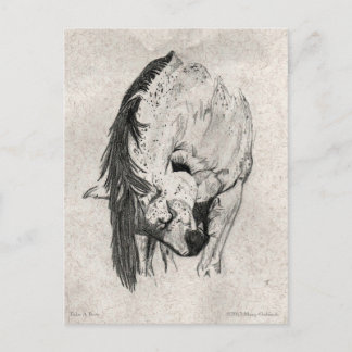 Carte Postale Prenez un bow par Mary Gubisch