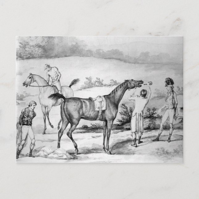 Carte Postale Préparation d'une course (Devant)