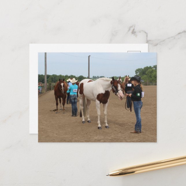 Carte Postale Présentation de chevaux (Devant/Arrière en situation)