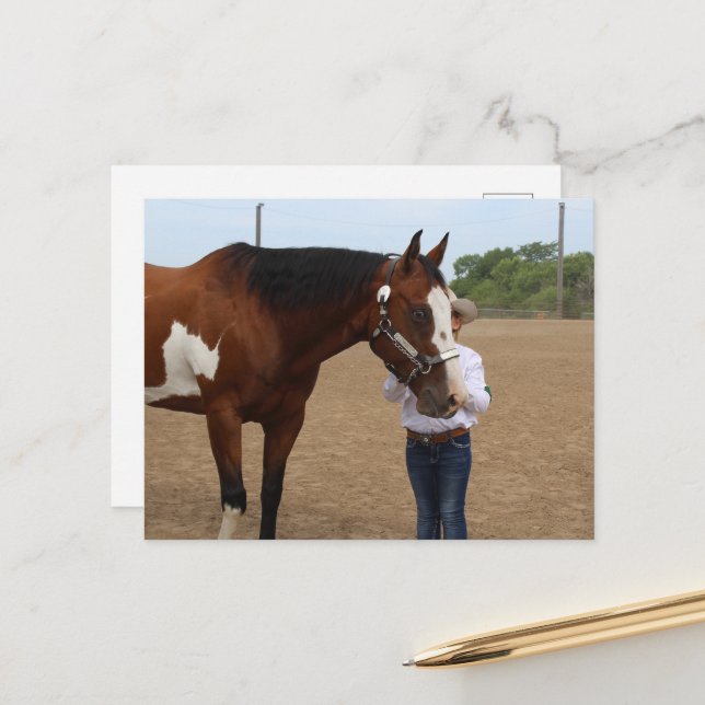 Carte Postale Présentation de chevaux de peinture de baie au spe (Devant/Arrière en situation)